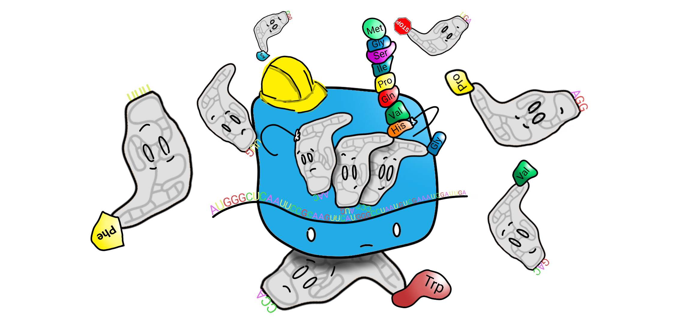 Doodle of a ribosome clamped onto an mRNA strand with a protein chain growing out of it.